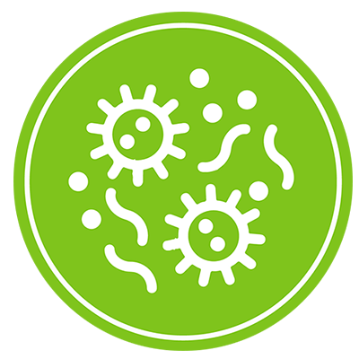 Mold