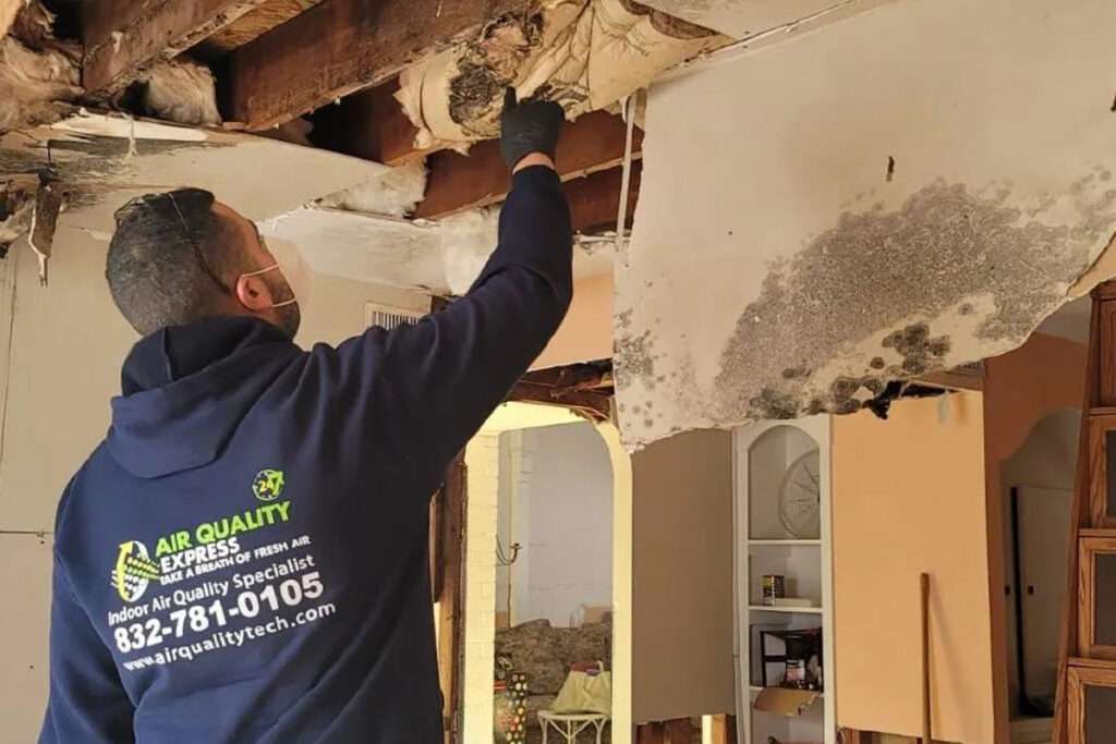 Visible mold on ceiling joists and drywall being inspected by an Air Quality Express technician in Houston