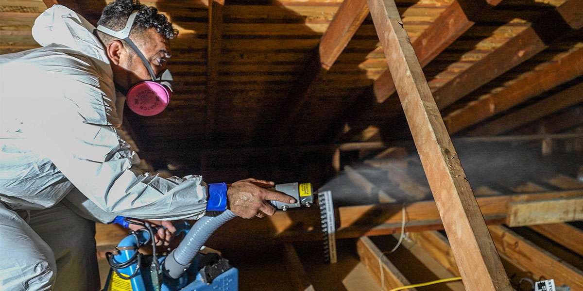 Attic Cleaning