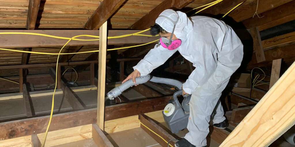 Attic Cleaning