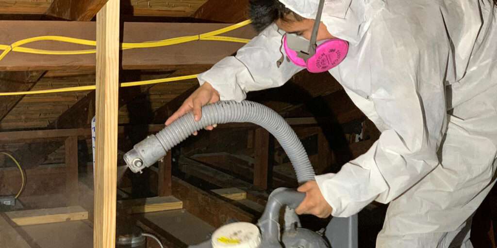 Attic Cleaning