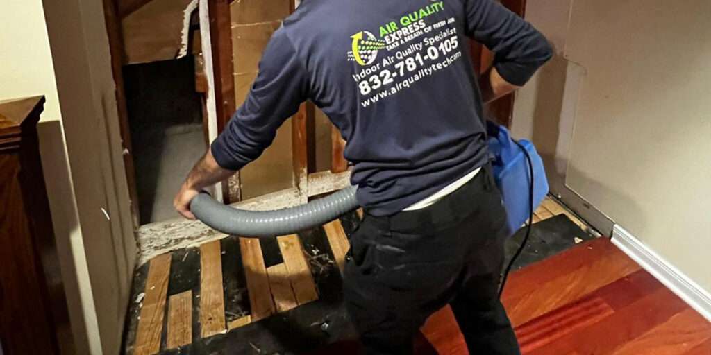 Mold Remediation by Air Quality Express